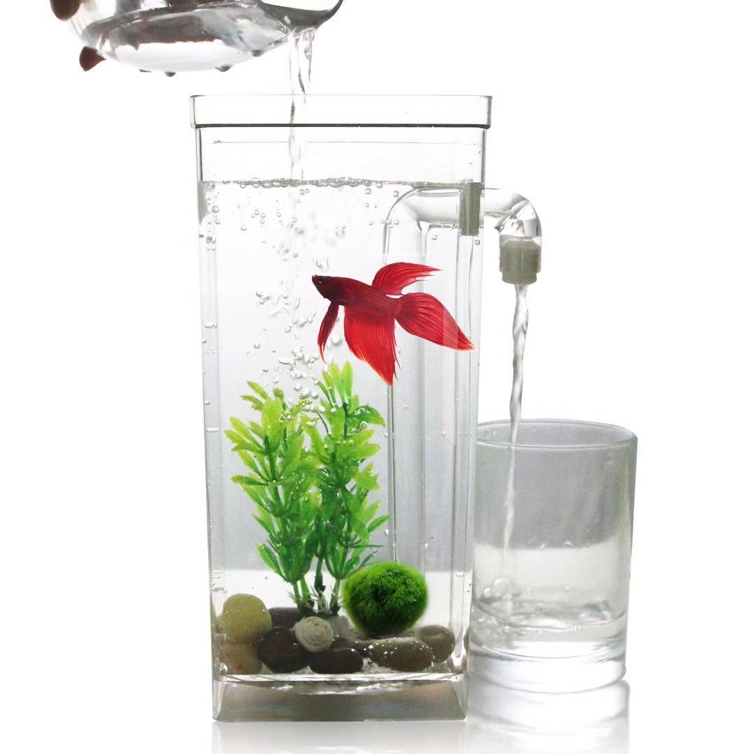 Betta Fish Tank - كسول الحرة تغيير المياه سطح المكتب