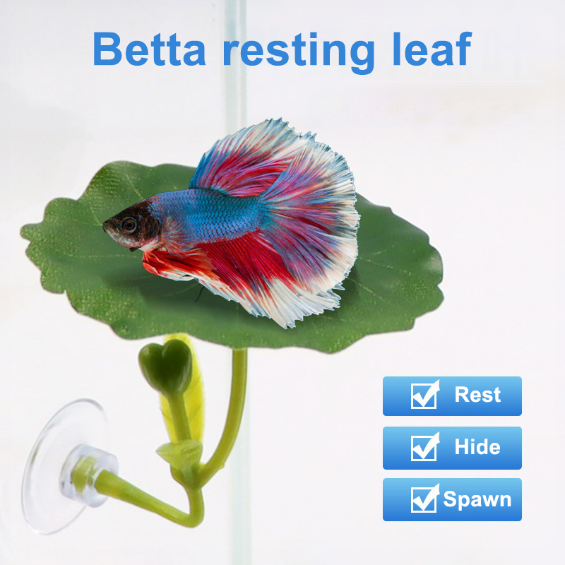 Betta Fish Tank - (Ce14) 1/5 قطعة، أرجوحة على شكل
