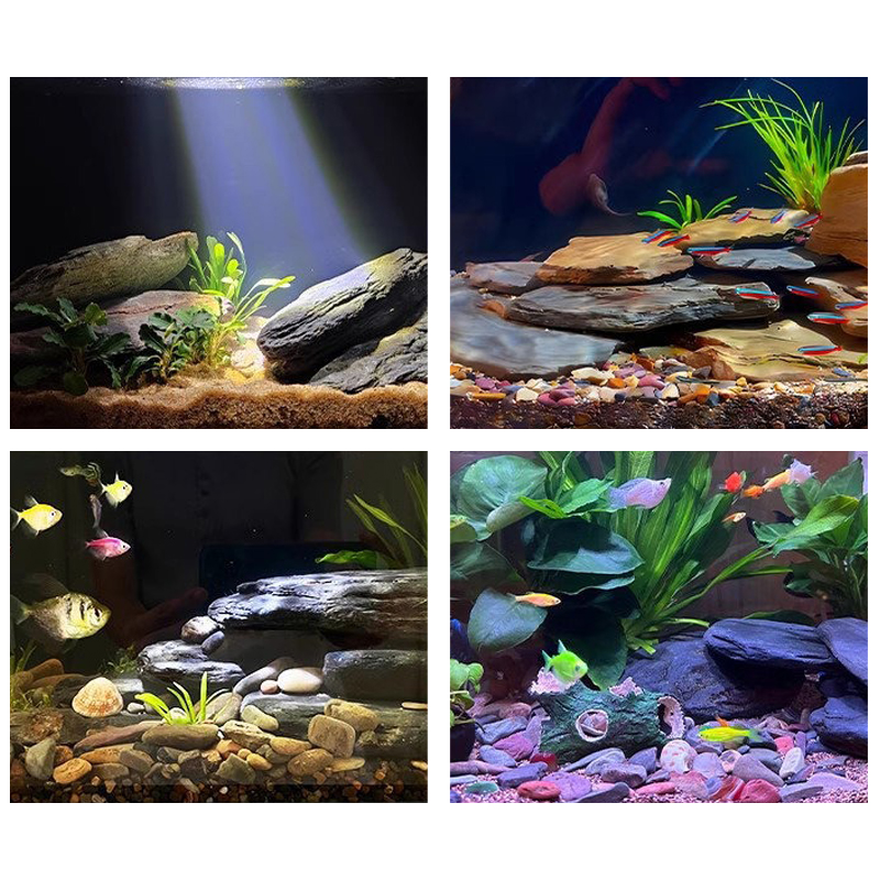 مجموعة أحجار تنسيق أحواض السمك - مراجعة Fish Tank Gravel وسعره
