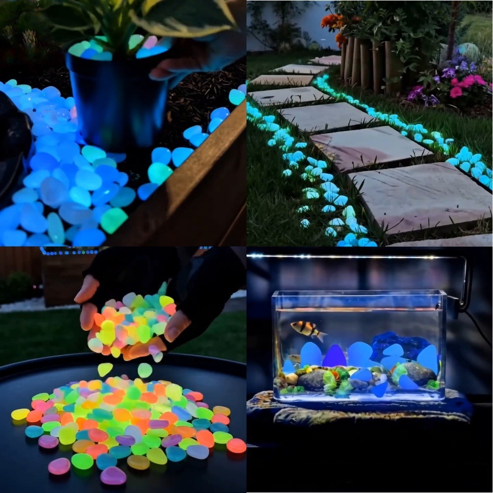 حصى ملونة مضيئة في الظلام لتزي - مراجعة Aquarium Plants وسعره