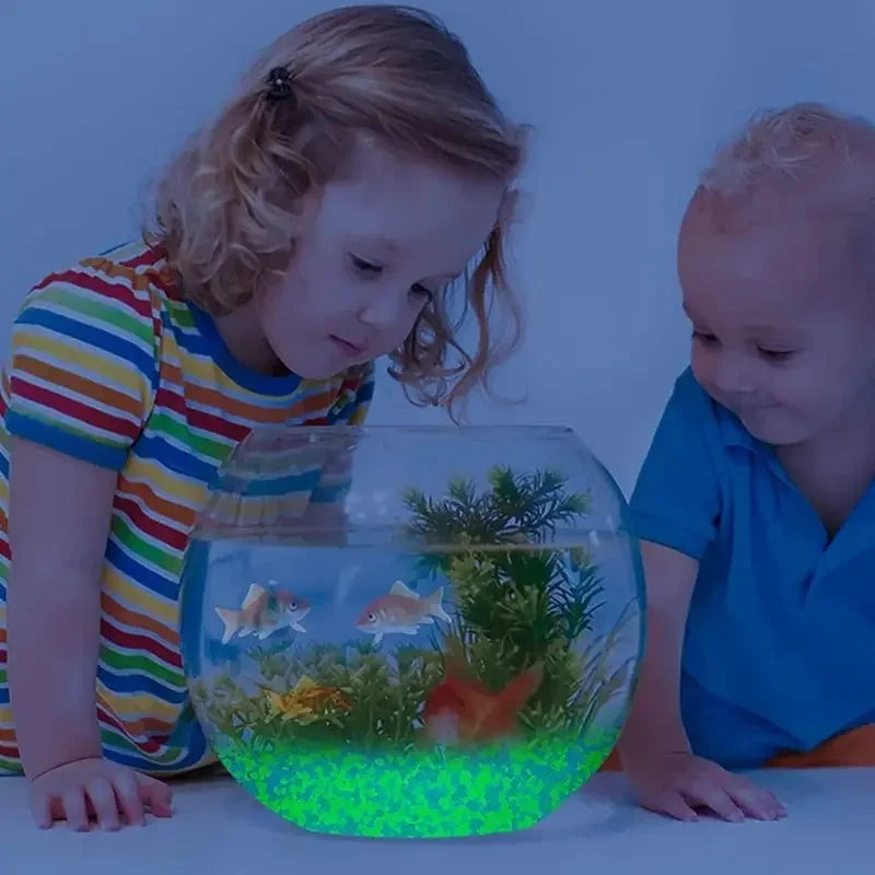 1000 قطعة 3-5 مللي متر مضيئة ا - مراجعة Fish Tank Gravel وسعره