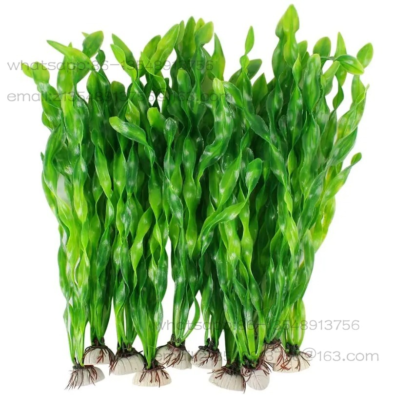 5/10 قطع من نباتات الأحواض الب - مراجعة Aquarium Plants وسعره