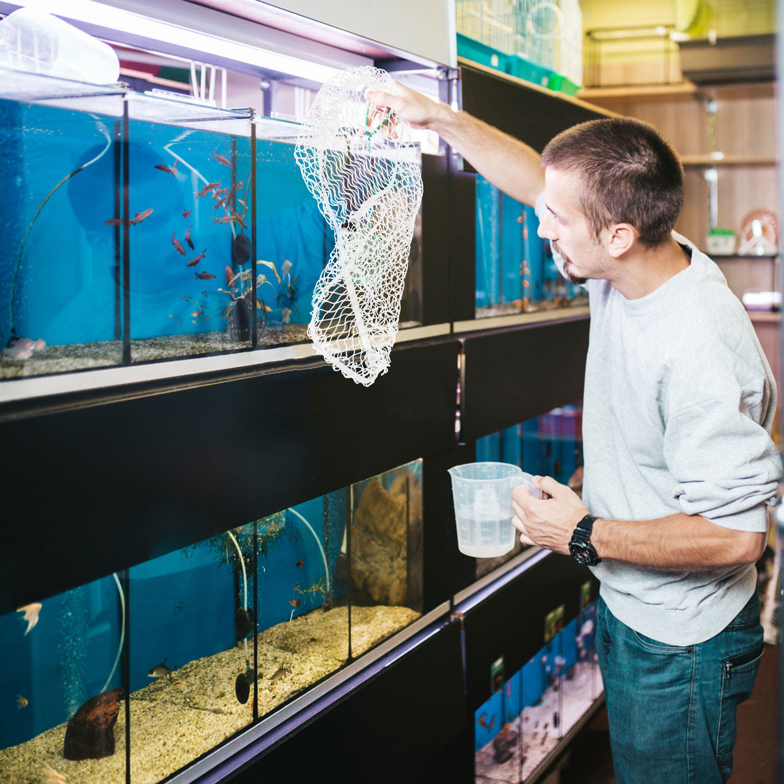شبكة نايلون لحوض السمك مقاس 40 - مراجعة Aquarium Fish Keeping وسعره