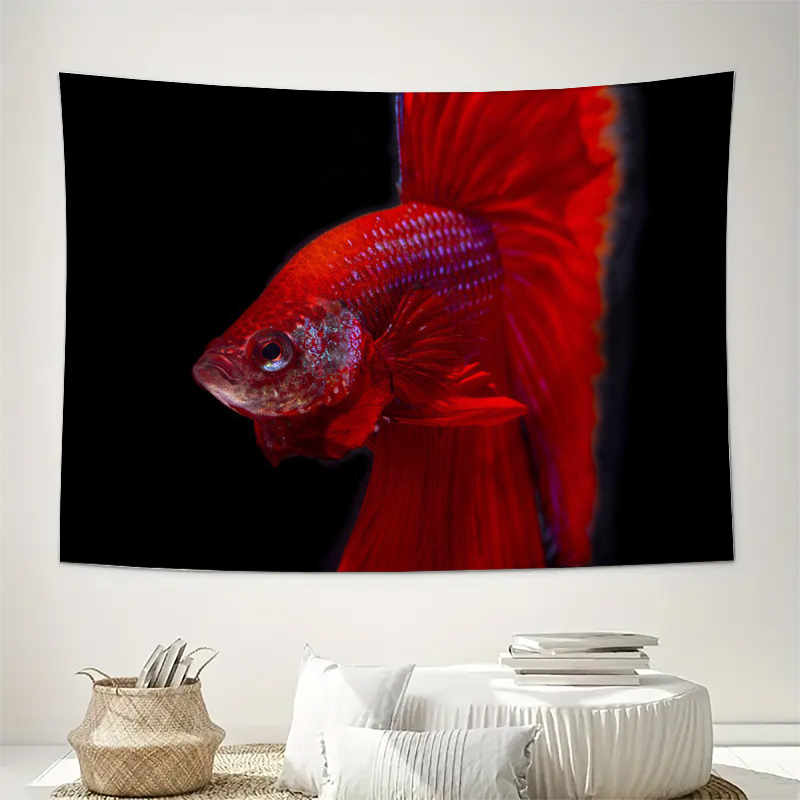 لوحة جدارية قماشية مطبوعة على  - مراجعة Aquarium Fish Betta وسعره